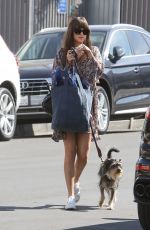 DAKOTA JOHNSON Out with Her Dog in Los Angeles 02/28/2020