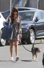 DAKOTA JOHNSON Out with Her Dog in Los Angeles 02/28/2020