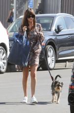 DAKOTA JOHNSON Out with Her Dog in Los Angeles 02/28/2020