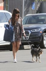 DAKOTA JOHNSON Out with Her Dog in Los Angeles 02/28/2020