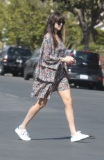 DAKOTA JOHNSON Out with Her Dog in Los Angeles 02/28/2020