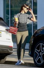 EIZA GONZALEZ Out Shopping in Beverly Hills 02/07/2020