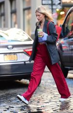 ELSA HOKS Out and About in New York 02/27/2020