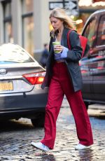 ELSA HOKS Out and About in New York 02/27/2020