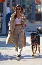 EMILY RATAJKOWSKI and Sebastian Bear McClard Out with Their Dog in New York 02/17/2020