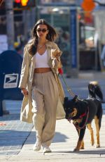 EMILY RATAJKOWSKI and Sebastian Bear McClard Out with Their Dog in New York 02/17/2020