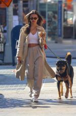 EMILY RATAJKOWSKI and Sebastian Bear McClard Out with Their Dog in New York 02/17/2020