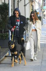 EMILY RATAJKOWSKI and Sebastian Bear McClard Out with Their Dog in New York 02/17/2020