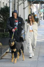 EMILY RATAJKOWSKI and Sebastian Bear McClard Out with Their Dog in New York 02/17/2020