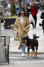 EMILY RATAJKOWSKI Out with Colombo in New York 02/16/2020