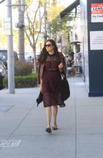 FAMKE JANSSEN Out Shopping in Beverly Hills 01/31/2020