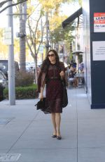 FAMKE JANSSEN Out Shopping in Beverly Hills 01/31/2020