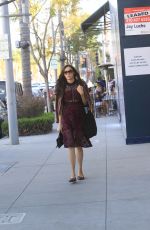 FAMKE JANSSEN Out Shopping in Beverly Hills 01/31/2020