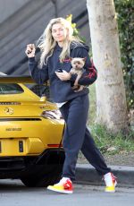 JESSICA HART Out with Her Dog in Los Angeles 02/05/2020