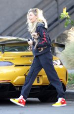 JESSICA HART Out with Her Dog in Los Angeles 02/05/2020