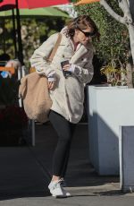 KATHERINE SCHWARZENEGGER Out for Lunch in New York 02/07/2020
