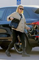 LARA BINGLE Out with Her Dog in West Hollywood 02/07/2020