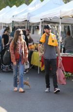LILY COLLINS and Charlie McDowell Out with Her Dog in Los Angeles 02/02/2020