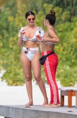 MEGAN BARTON HANSON and CHELCEE GRIMES in Bikinis at a Beach in Maldives 01/26/2020
