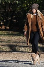 MICHELLE HUNZIKER Out with Her Dogs at a Park in Milano 02/06/2020