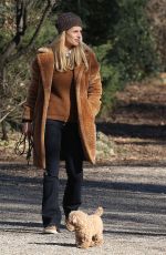 MICHELLE HUNZIKER Out with Her Dogs at a Park in Milano 02/06/2020