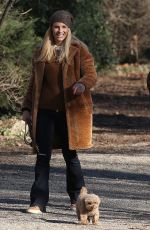 MICHELLE HUNZIKER Out with Her Dogs at a Park in Milano 02/06/2020