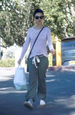 MILA KUNIS Shopping at Beverly Glen Grocery Market in Bel Air 02/26/2020