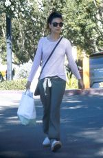 MILA KUNIS Shopping at Beverly Glen Grocery Market in Bel Air 02/26/2020