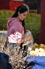 NIKKI and BRIE BELLA at Farmers Market in Los Angeles 02/15/2020
