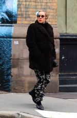 Pregnant CHLOE SEVIGNY Out for Lunch in New York 02/05/2020