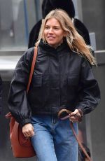 SIENNA MILLER and Tom Sturridge Out with Their Dog in New York 02/26/2020
