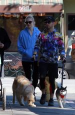 SOPHIE TURNER and Joe Jonas Out with Their Dogs in Studio City 02/25/2020