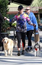 SOPHIE TURNER and Joe Jonas Out with Their Dogs in Studio City 02/25/2020