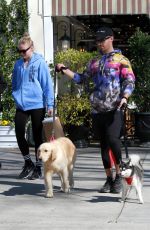 SOPHIE TURNER and Joe Jonas Out with Their Dogs in Studio City 02/25/2020