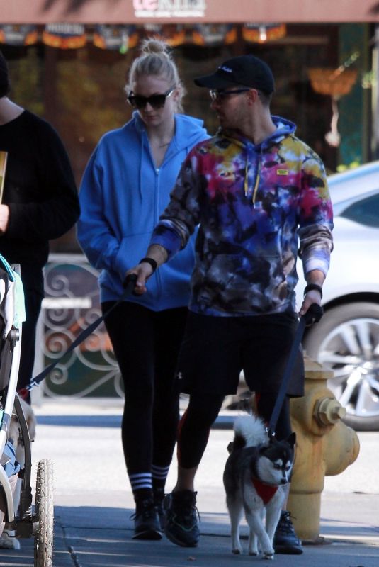 SOPHIE TURNER and Joe Jonas Out with Their Dogs in Studio City 02/25/2020
