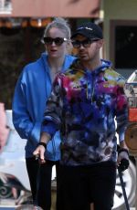 SOPHIE TURNER and Joe Jonas Out with Their Dogs in Studio City 02/25/2020