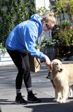 SOPHIE TURNER and Joe Jonas Out with Their Dogs in Studio City 02/25/2020