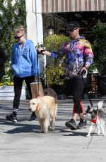 SOPHIE TURNER and Joe Jonas Out with Their Dogs in Studio City 02/25/2020