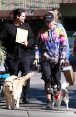 SOPHIE TURNER and Joe Jonas Out with Their Dogs in Studio City 02/25/2020