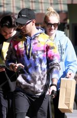 SOPHIE TURNER and Joe Jonas Out with Their Dogs in Studio City 02/25/2020