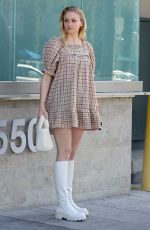 SOPHIE TURNER Out and About in Los Angeles 02/26/2020