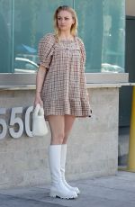 SOPHIE TURNER Out and About in Los Angeles 02/26/2020