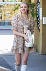 SOPHIE TURNER Out and About in Los Angeles 02/26/2020