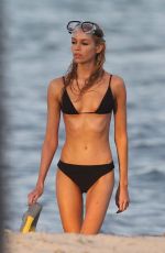 STELLA MAXWELL in Bikini at a Beach in Miami 02/06/2020