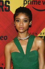 TIFFANY BOONE at Hunters TV Show Premiere in Los Angeles 02/19/2020