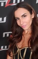 WWE - Mega Mix