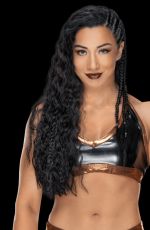 WWE - Mega Mix