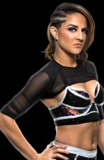 WWE - Mega Mix