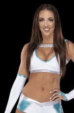 WWE - Mega Mix