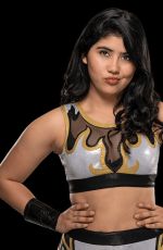 WWE - Mega Mix